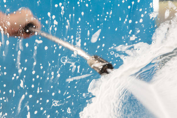 Best Animal Enclosure Cleaning  in Lauderdale By The Sea, FL